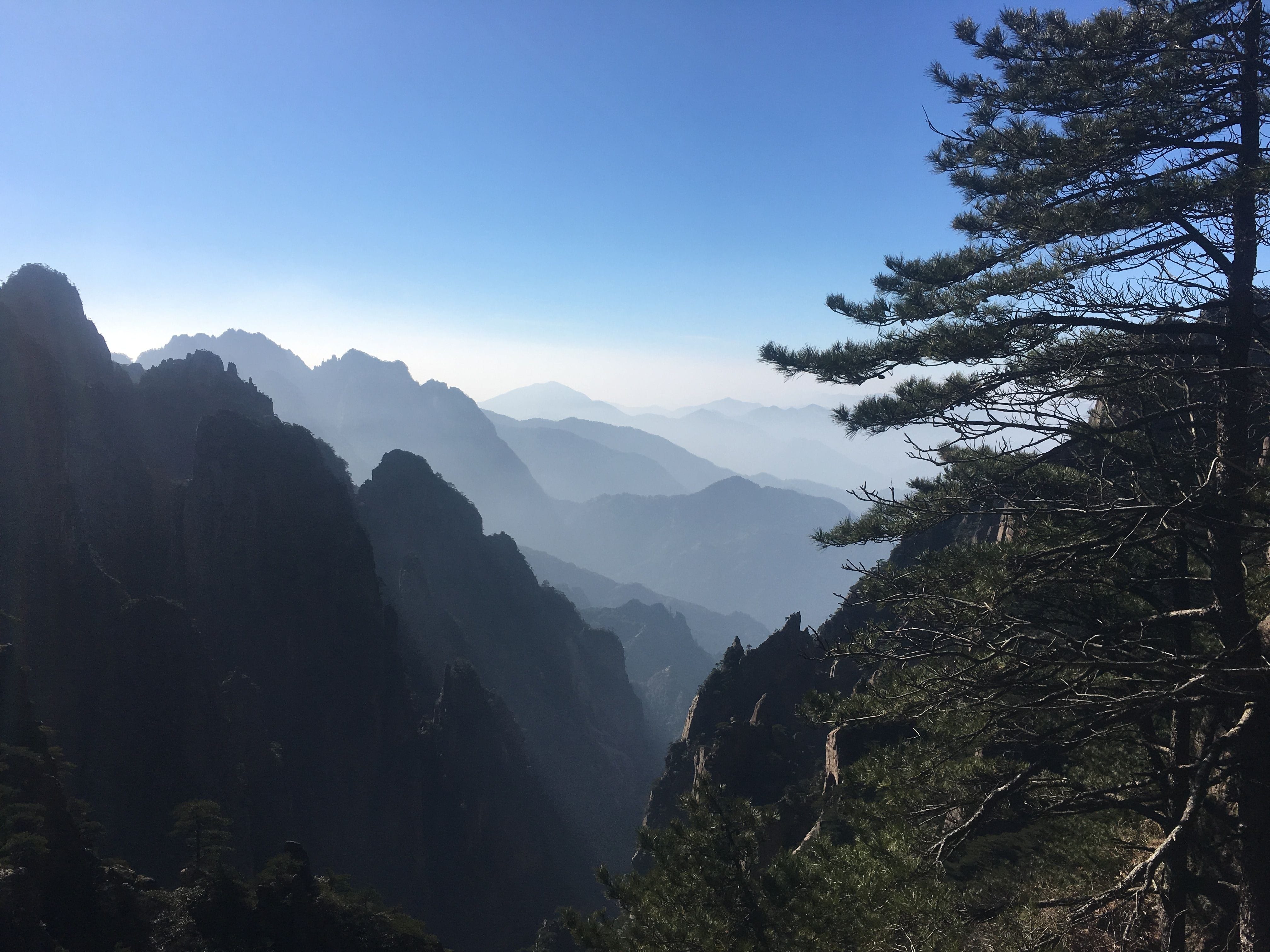 View above Xihai Canyon in Huangshan Mountains